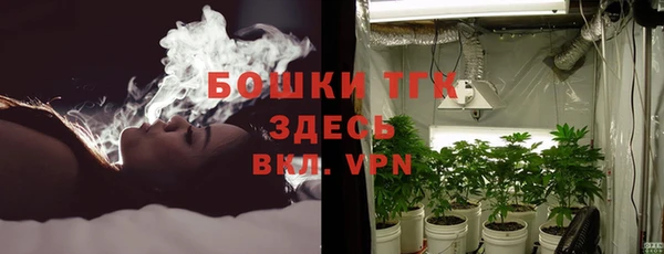 гидра Вяземский