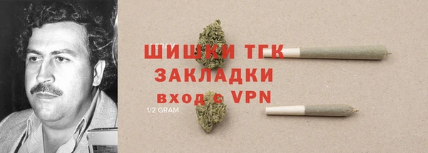 гидра Вяземский