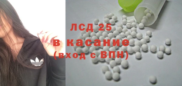гидра Вяземский