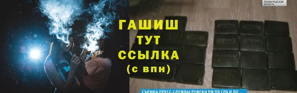 гидра Вяземский