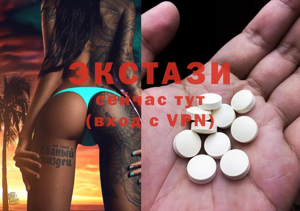 гидра Вяземский
