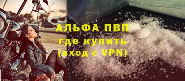 гидра Вяземский