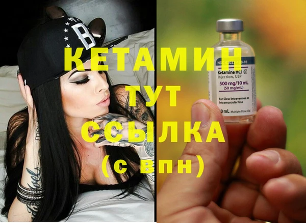 гидра Вяземский
