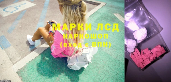 гидра Вяземский
