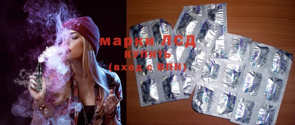 гидра Вяземский