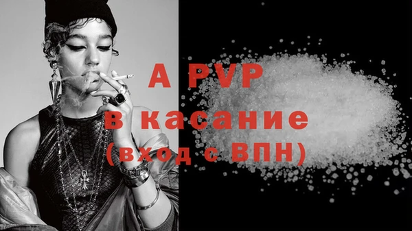 гидра Вяземский