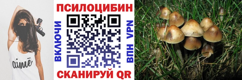 Галлюциногенные грибы Psilocybe  Купить  Прохладный 